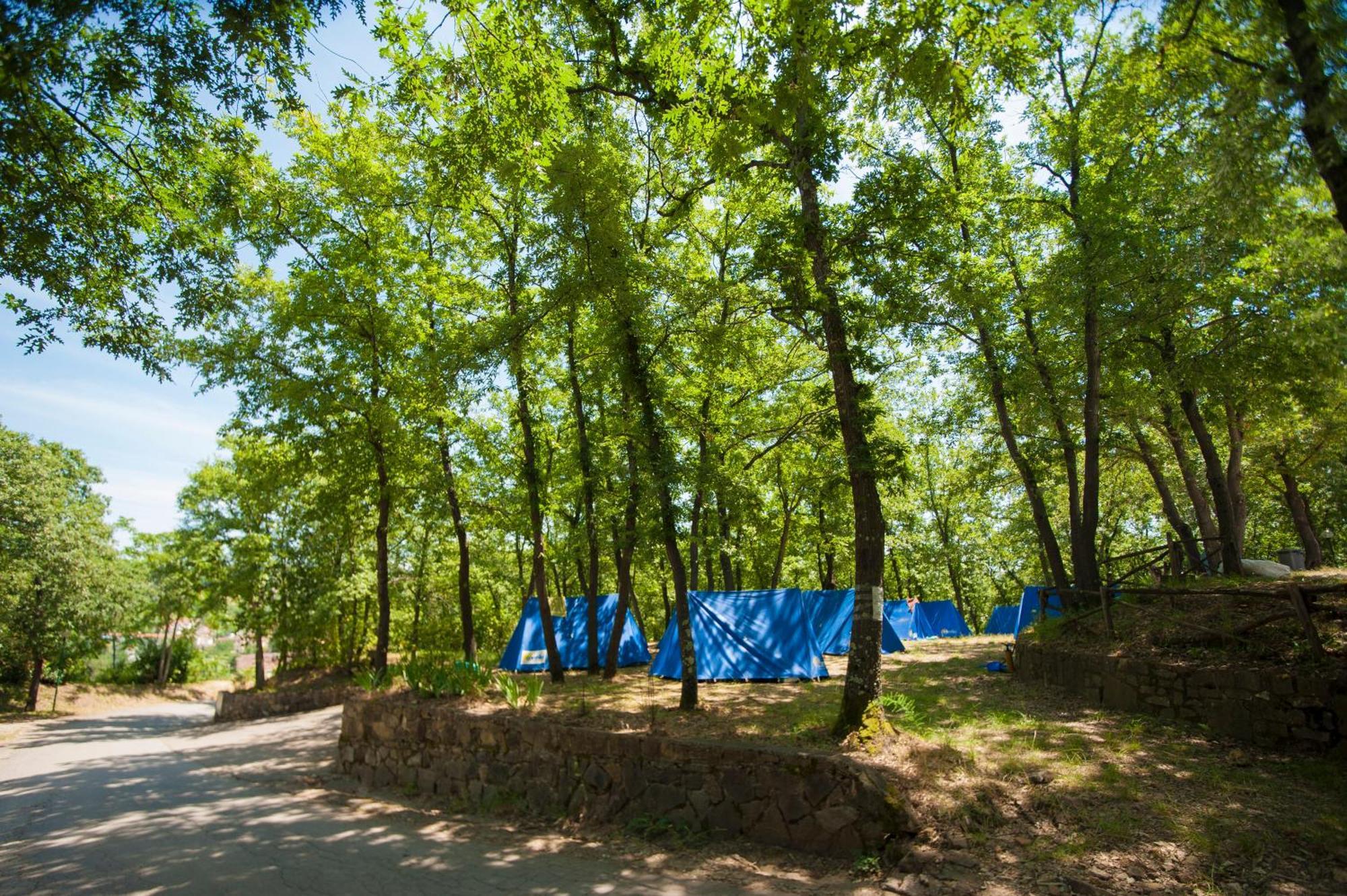 Campeggio Village Internazionale Firenze 3*